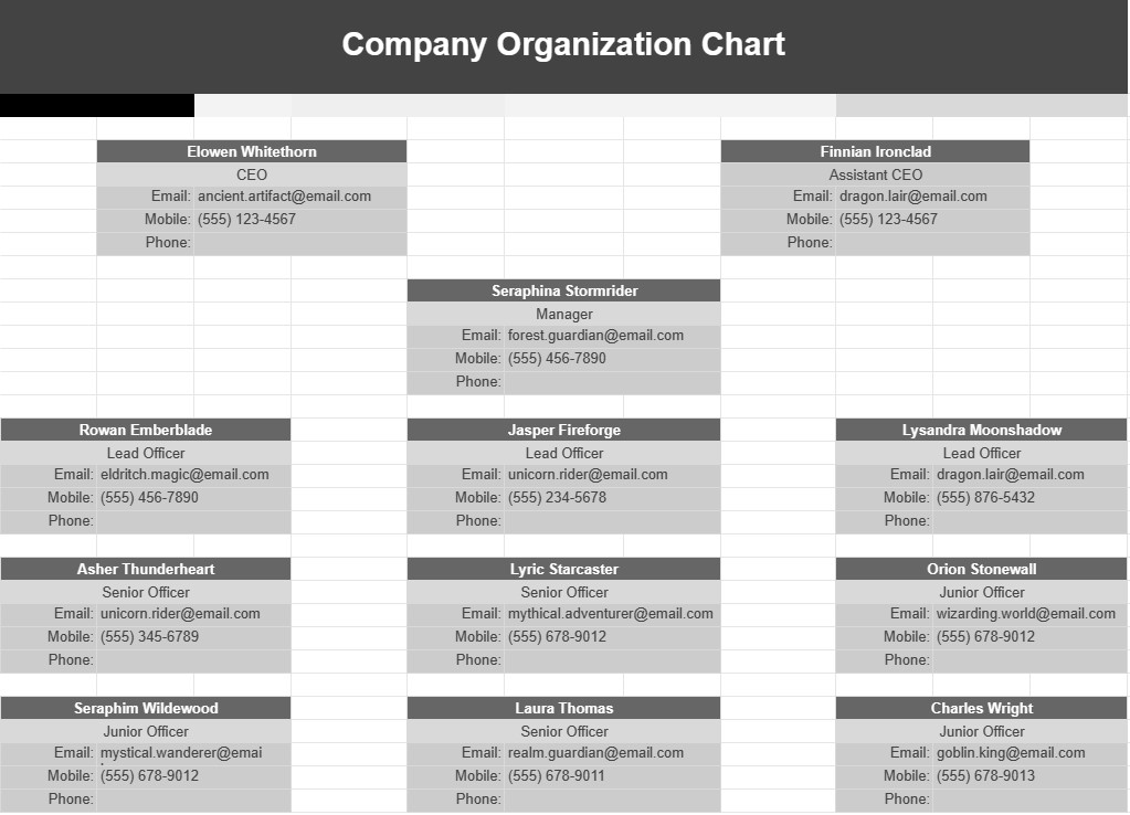 Företagets organisationsdiagram